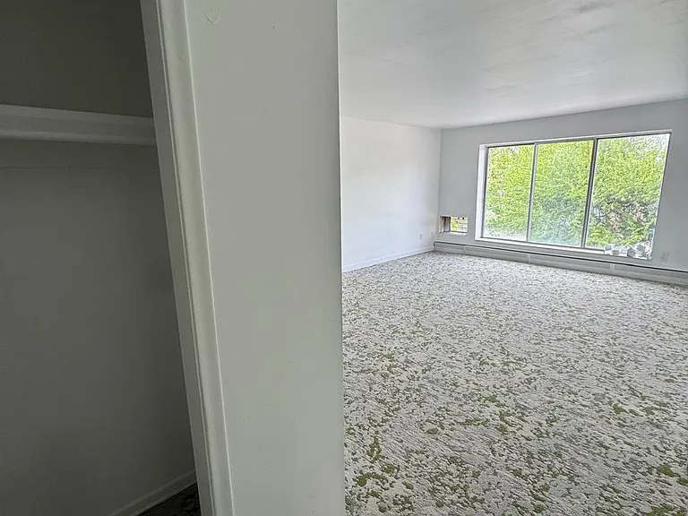 10101 Cadieux Rd #1 — Photo 31