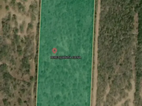 Fm 716, Concepcion, TX 78349