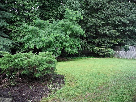 Fenced Back Yard