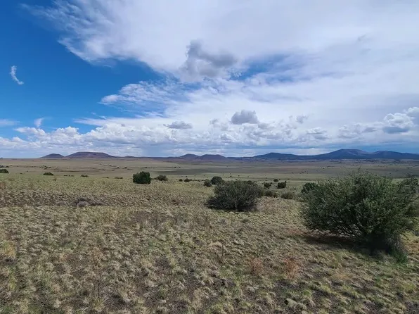 3 County Road N3365, Vernon, AZ 85940