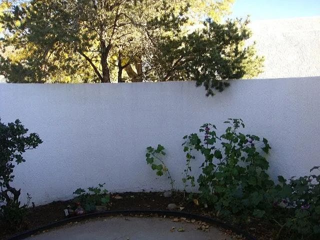 11009 Briarwood Ter NE — Photo 4