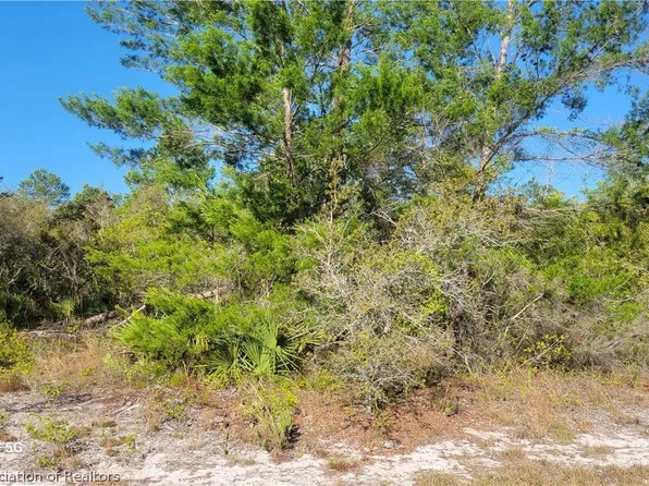 117 Fillmore Ave, Lake Placid, FL 33852
