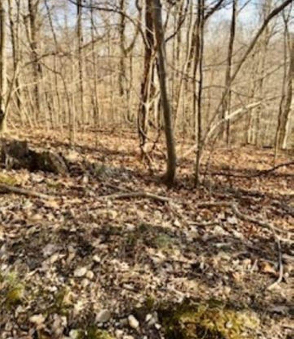 LOT 44 & 45, Eddyville, KY 42038 MLS 120906 Zillow