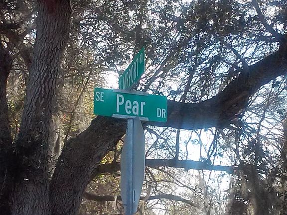 5th image of 1425 SE Pear Dr