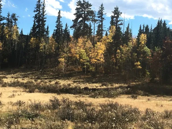 346 Tatanka Trl #Mus, Como, CO 80432