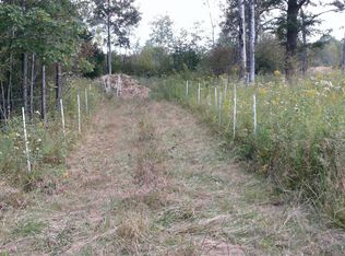 1950 N Alamando Rd, Coleman, MI 48618