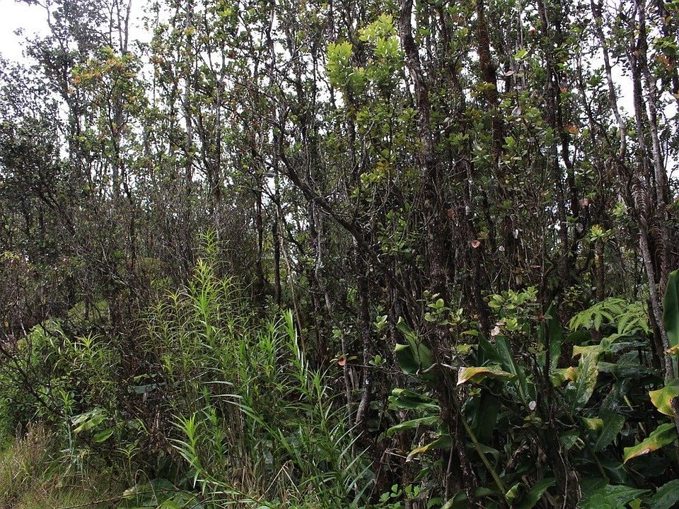2nd image of 11-2860 Kilihune Rd Lot 8773