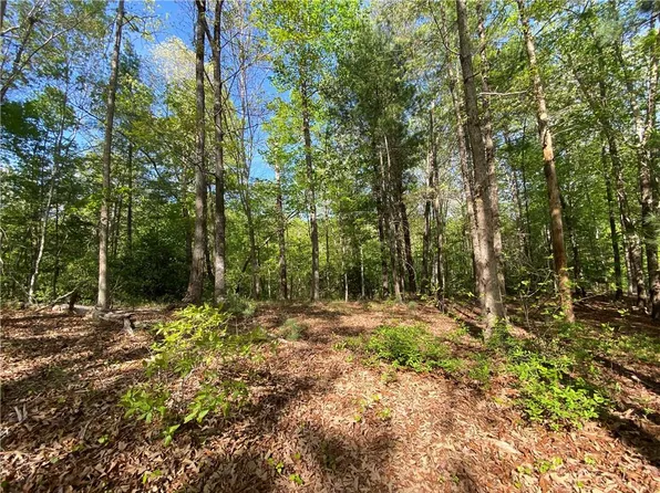101 Wake Robin Dr, Sunset, SC 29685