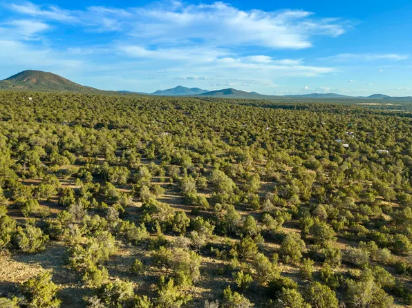 591 E Deerlick Trl, Williams, AZ 86046