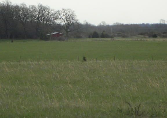 4th image of 3690 N Farm Road 93