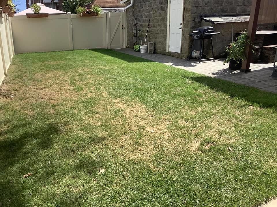1st image of 120-01 225th St