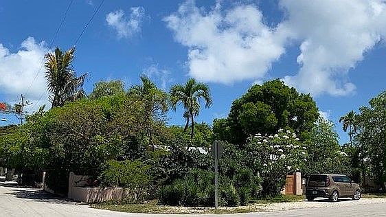 Landscaped for Privacy