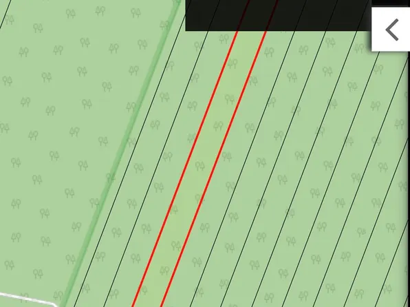 313 N Thompson Lake Rd, Bois Blanc Island, MI 49775