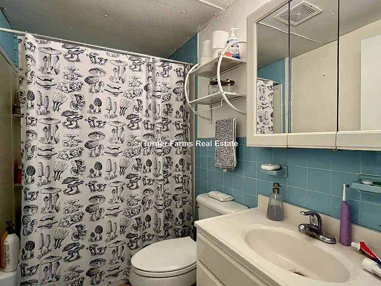 262 Shawmut Ave #2A — Photo 12