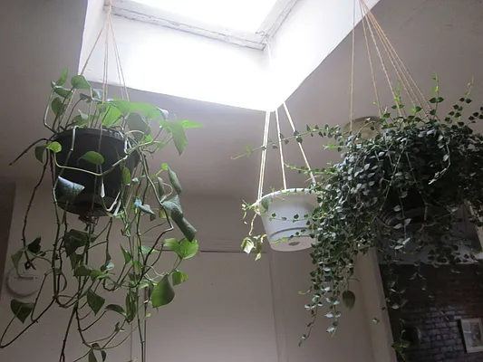 Rented by Plymouth Electric Inc. | media 5