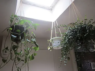 Rented by Plymouth Electric Inc.