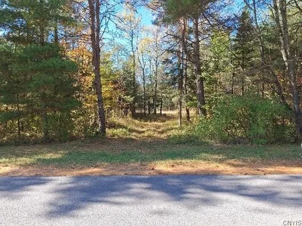 11705 Obrien Rd, Forestport, NY 13338