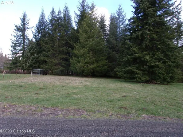 Adj 42051 Marty Ln, Astoria, OR 97103