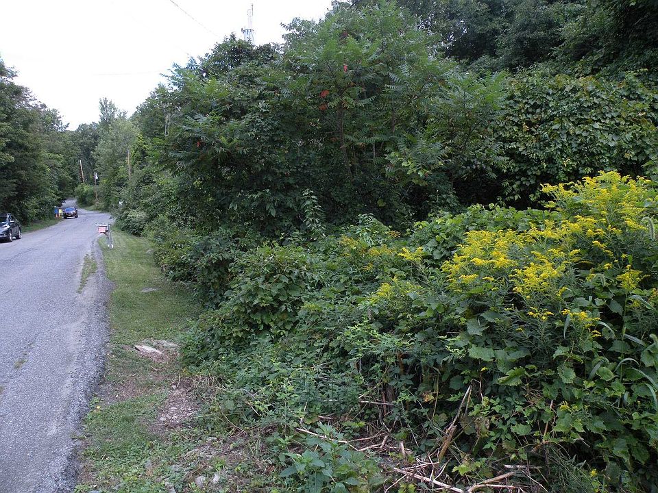 1st image of 58 Forest Dr #0
