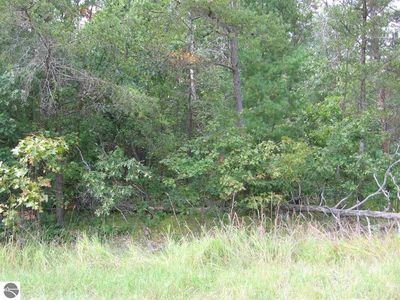 0 Morawa Trl, Hale, MI, 48739