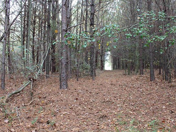 4th image of County Road 134 #0