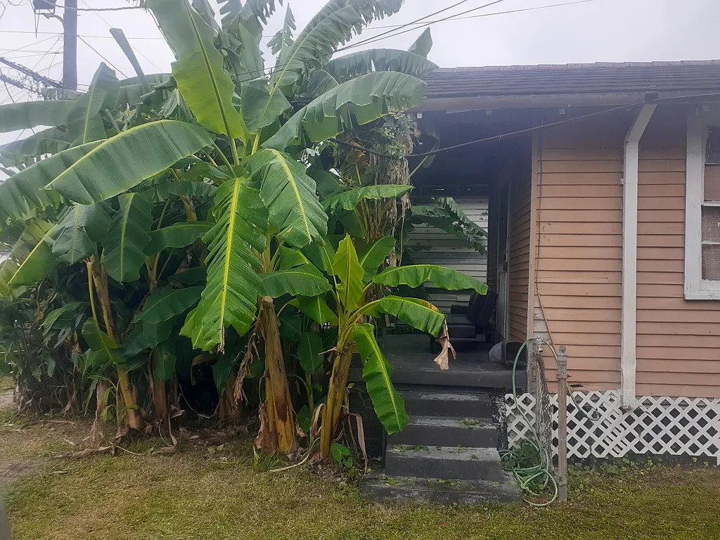 Charming Shared 2 -Bedroom House in New Orleans — Photo 4