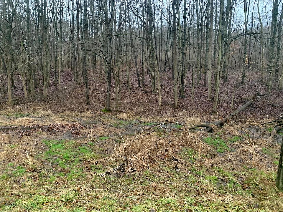 1st image of 401 Highland Hills Dr