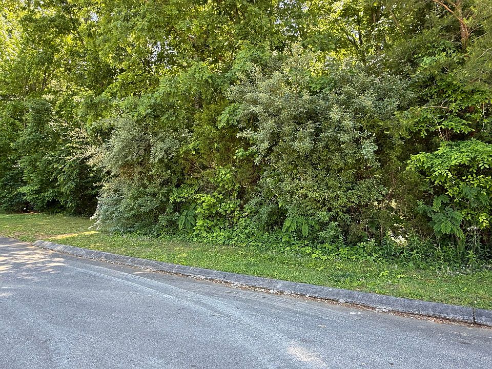 2nd image of 194 Elm St