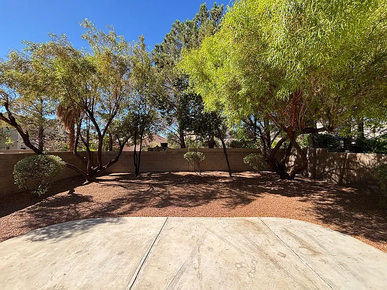 10319 Splendor Ridge Ave — Photo 15