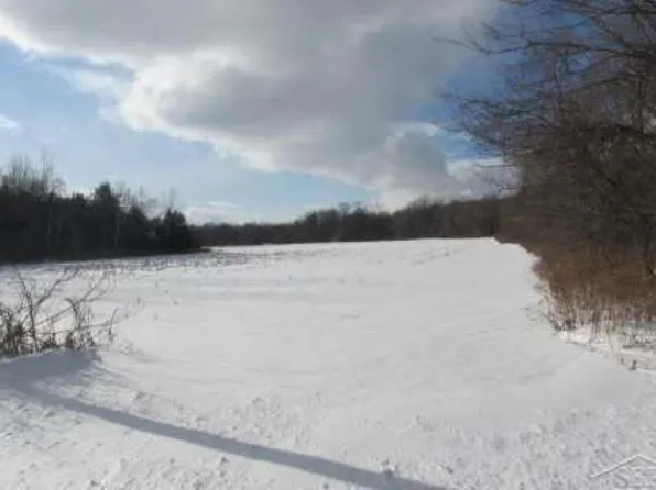 4155 S Airport Rd, Bridgeport, MI 48722