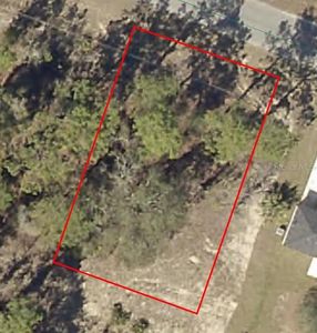 Malauka Radl #25, Ocklawaha, FL, 32179