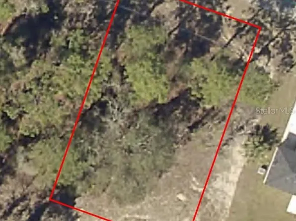 Malauka Radl #25, Ocklawaha, FL 32179
