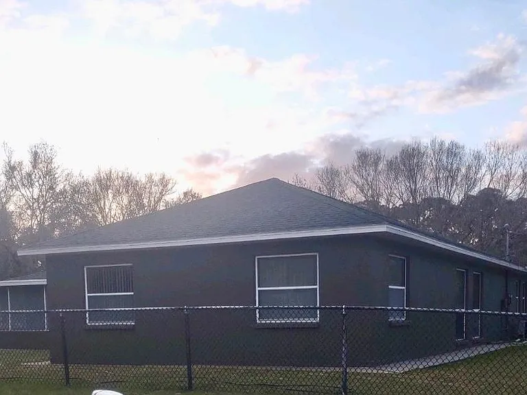 Back view