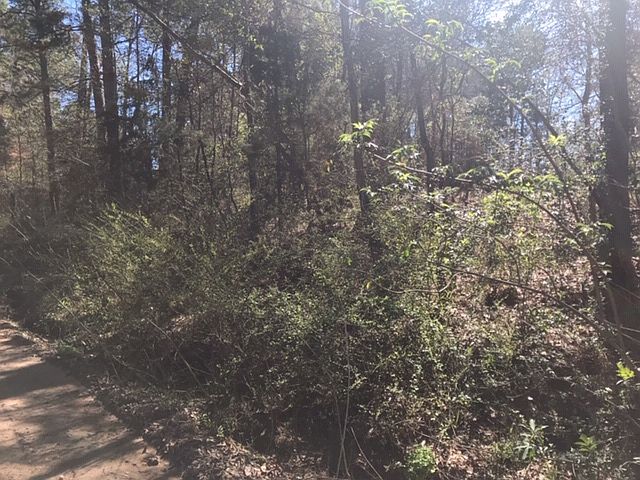 2nd image of 15377 Berry Dr