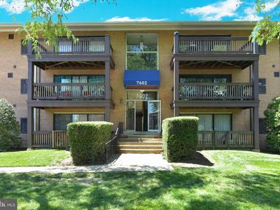 7602 Savannah St APT 204, Falls Church, VA, 22043