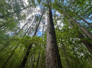 Highway 11, Red Bay, AL 35582