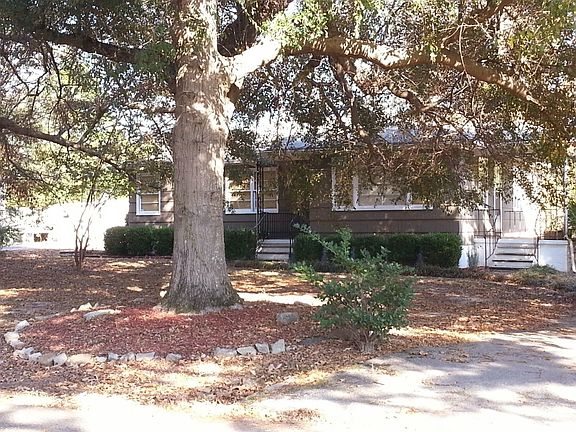 water oak trees for shade