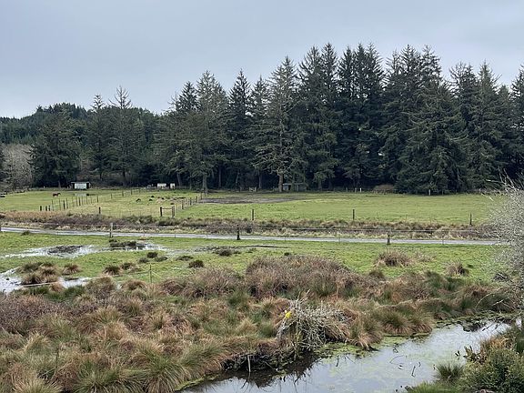 4th image of 922 Fern Pl