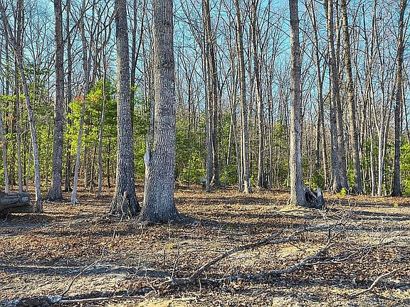 2nd image of 1964 Pine Grove Rd