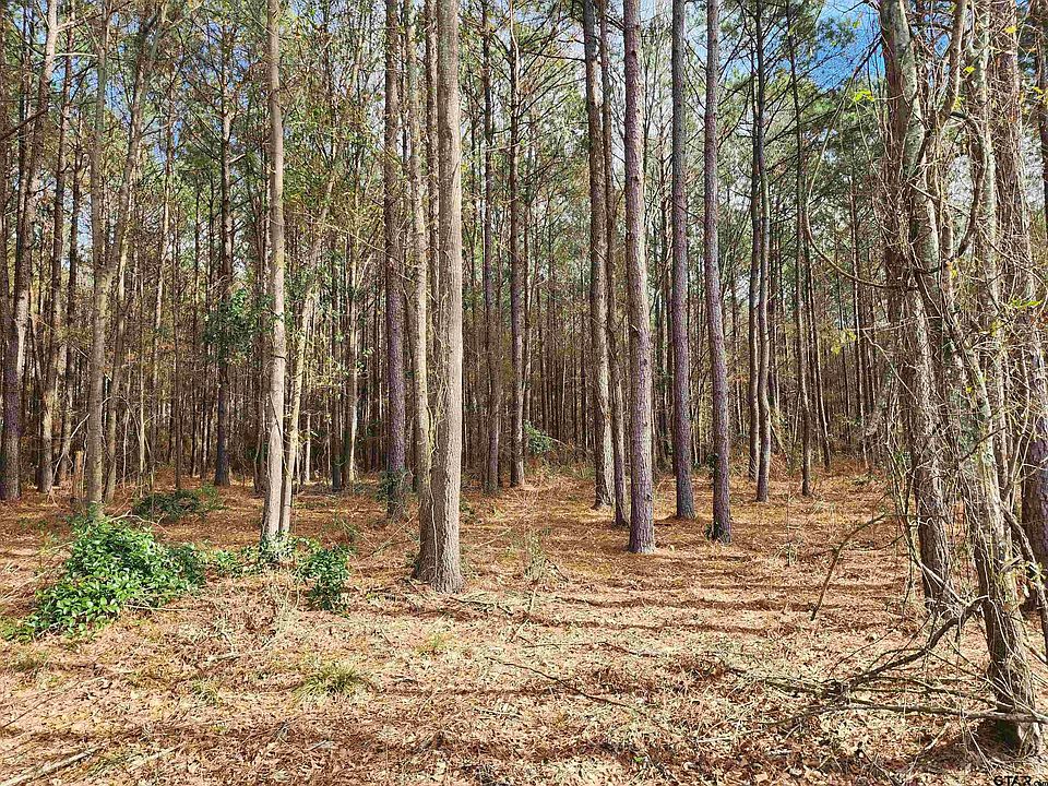 1st image of County Road 4313