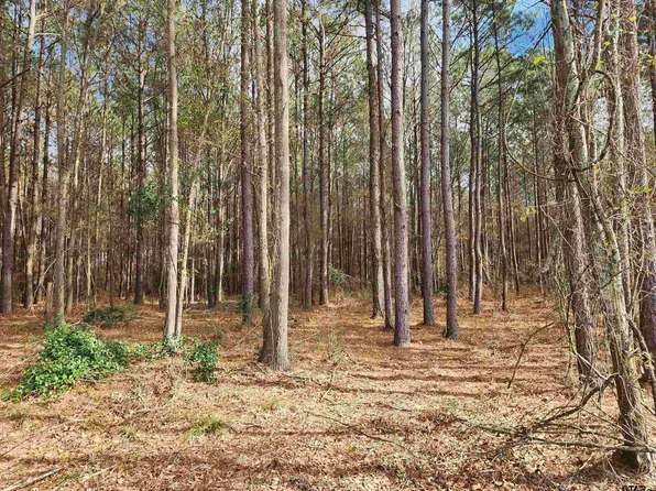 County Road 4313, Pittsburg, TX 75686