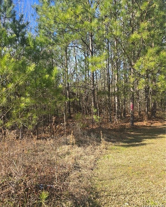 2nd image of 15 Timbertop Ln