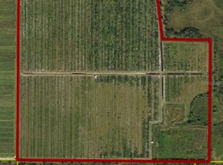 SE Hall Dr LOT 103, Arcadia, FL 34266