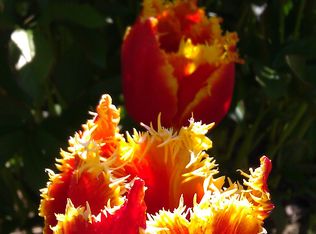 112 S 44th St, Bellingham, WA 98229