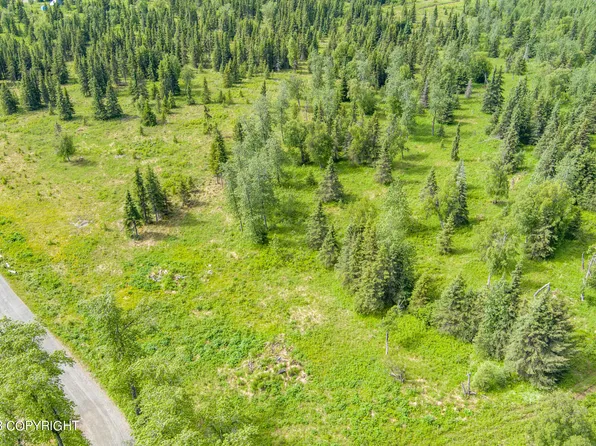L8 Tovarish Rd, Ninilchik, AK 99639