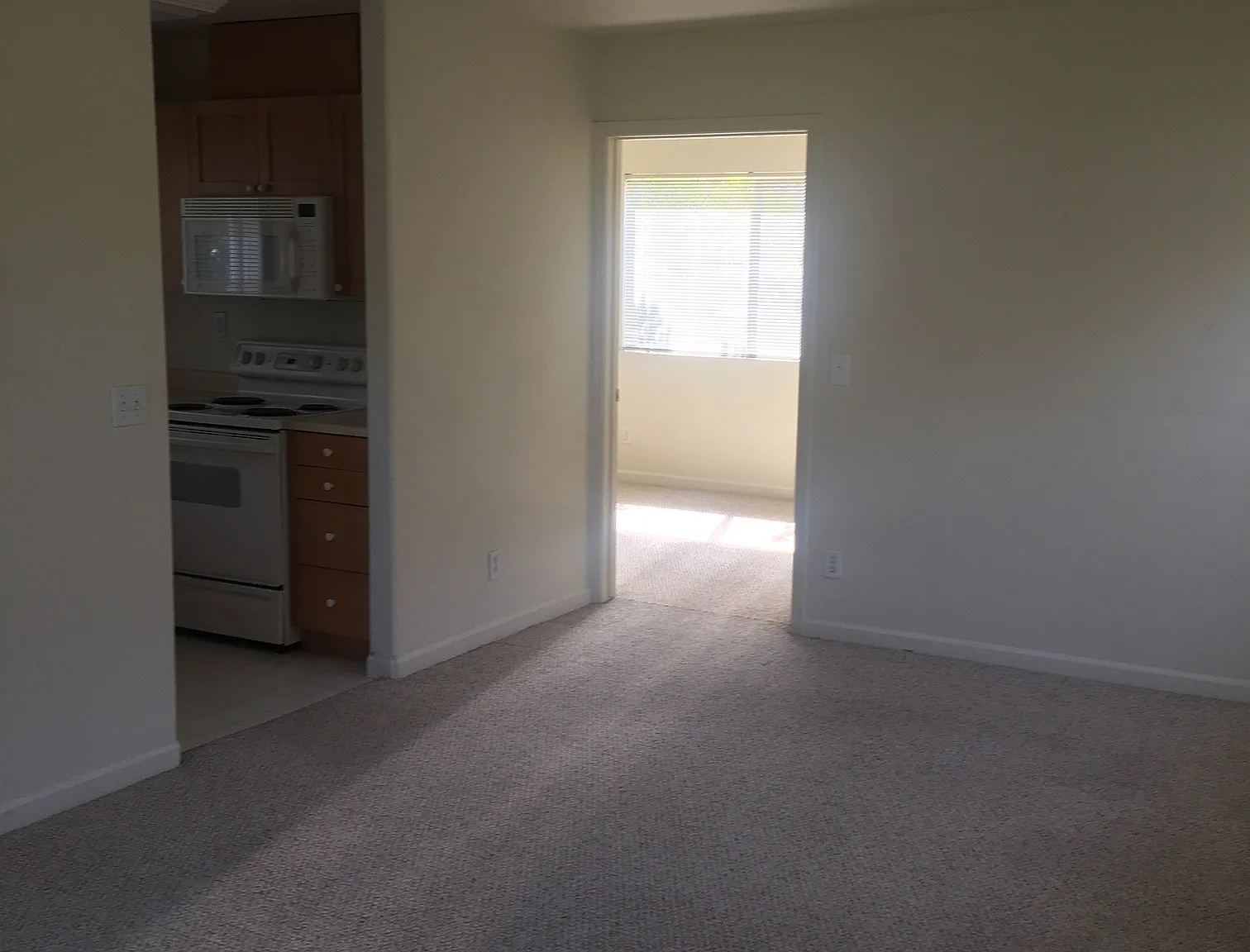 1 bed, $1,800 — Photo 4