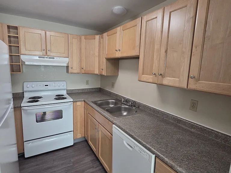 393 Spruce St #3 — Photo 7