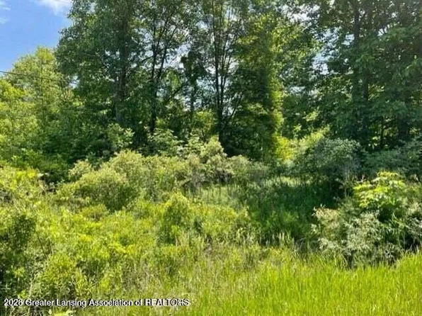 0 Woodbury Rd, Laingsburg, MI 48848