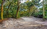 5th image of Dunewood Place Fernandina Beach Amelia Is