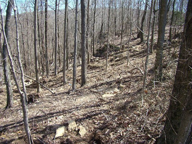 2nd image of 1440 Brotherton Dr